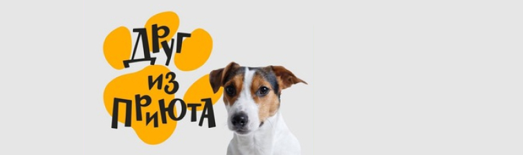 Друг из приюта